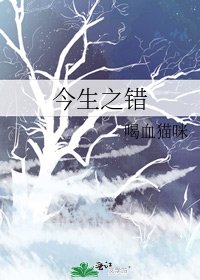 《今生之错》