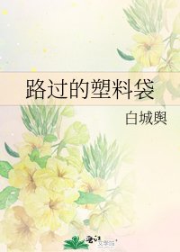 路过的塑料袋