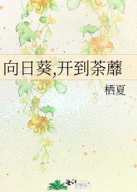 《向日葵,开到荼蘼》