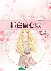 《抓住偷心贼》