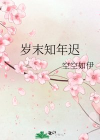 《岁末知年迟》