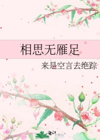 《相思无雁足》