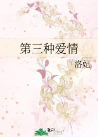 《第三种爱情》