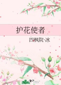 《护花使者》