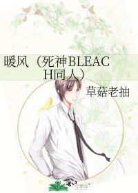 《暖风(死神BLEACH同人)》