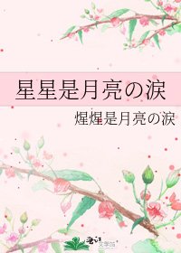 《星星是月亮の涙》