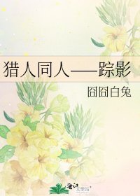 《猎人同人——踪影》