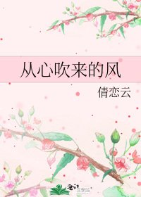 《从心吹来的风》