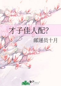 《才子佳人配?》