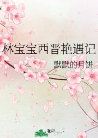 《林保保西晋燕遇记》