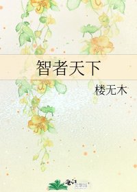 《智者天下》