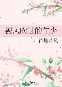 被风吹过的年少