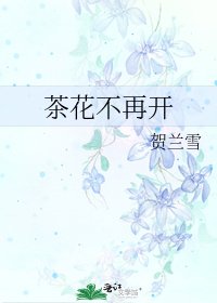 《茶花不再开》