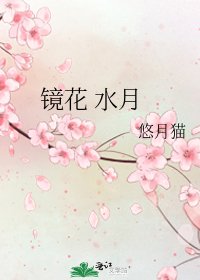 《镜花 水月》