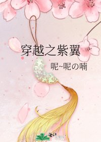 《穿越之紫翼》