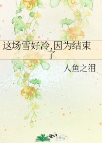 《这场雪好冷,因为结束了》