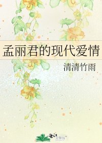 《孟丽君的现代爱情》
