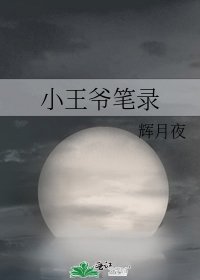 《小王爷笔录》