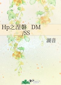 （HP同人）Hp之涅磐 DM/SS