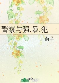《警察与强.暴.犯》