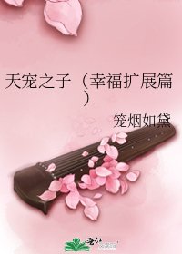 《天宠之子(幸福扩展篇)》