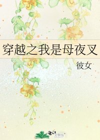 穿越之我是母夜叉