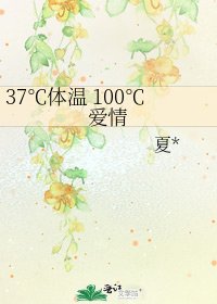 《37℃体温 100℃爱情》
