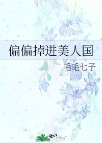 《偏偏掉进美人国》