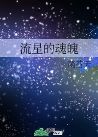 《流星的魂魄》