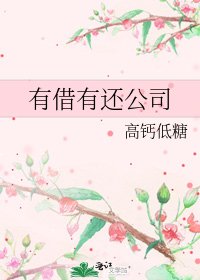 《有借有还公司》