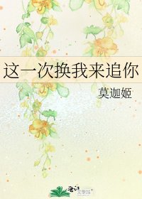 《这一次换我来追你》