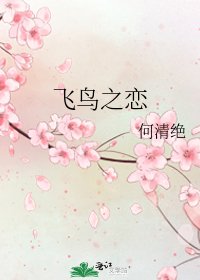 飞鸟之恋