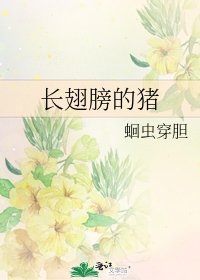 《长翅膀的猪》
