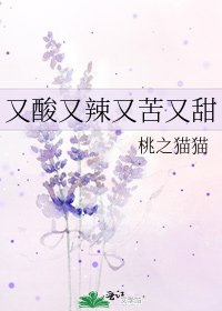《又酸又辣又苦又甜》