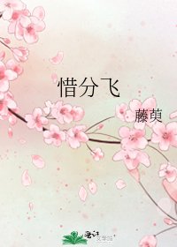 《惜分飞》