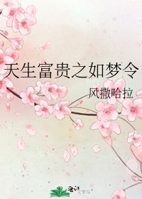 《天生富贵之如梦令》