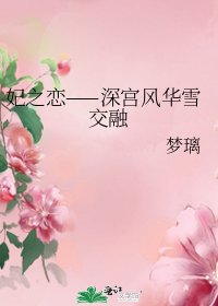 《妃之恋——深宫风华雪交融》