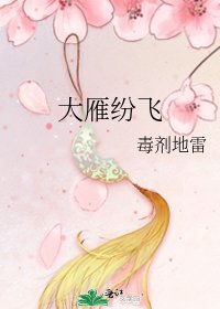 《大雁纷飞》