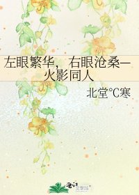 《左眼繁华,右眼沧桑—火影同人》