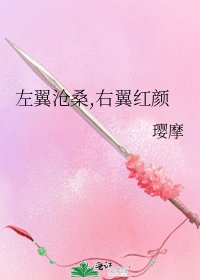 《左翼沧桑,右翼红颜》