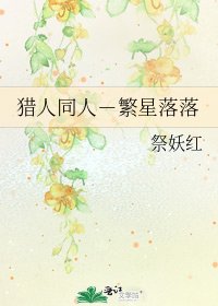 《猎人同人-繁星落落》