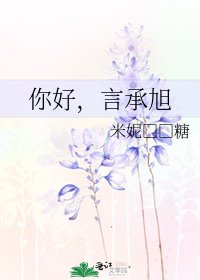 《你好,言承旭》