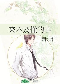 《来不及懂的事》