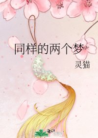 《同样的两个梦》