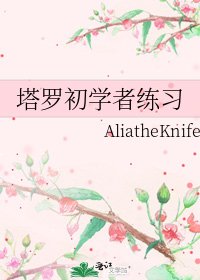 《塔罗初学者练习》