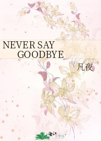 《NEVER SAY GOODBYE》