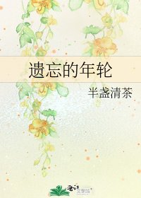 《遗忘的年轮》