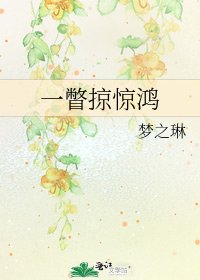 《一瞥掠惊鸿》