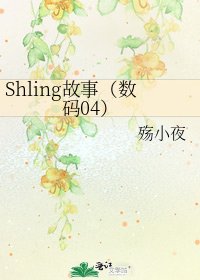 《Shling故事(数码04)》