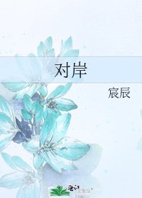 《对岸》